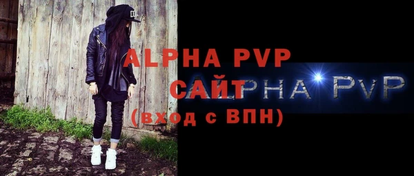 хмурый Ельня