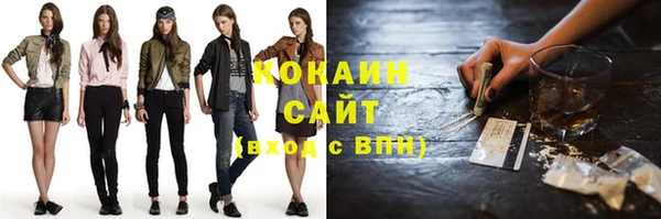 хмурый Ельня