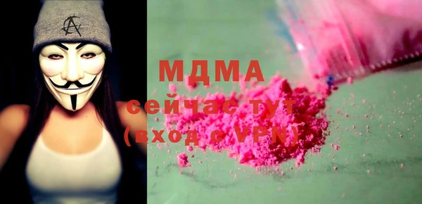 мдпв Елабуга