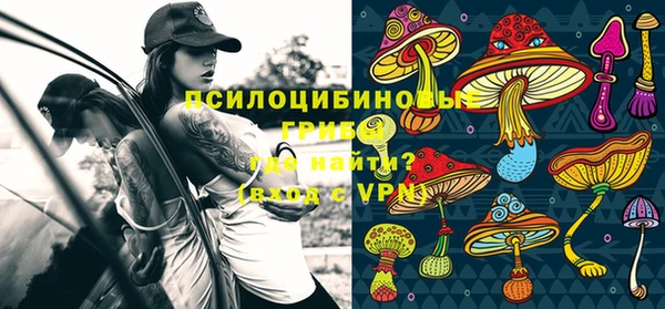 mix Дмитриев