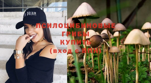 бутират Дмитров