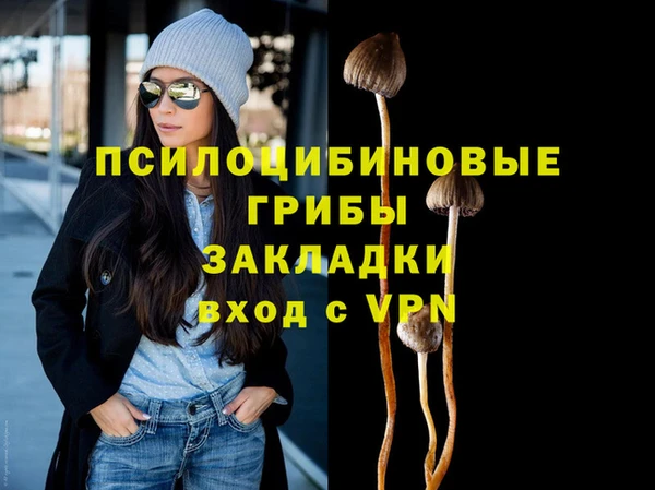 мяу мяу мука Гусев