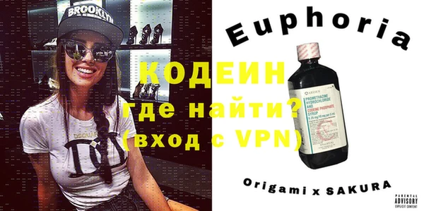 мдпв Елабуга