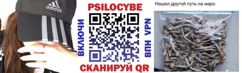 Псилоцибиновые грибы Magic Shrooms Купить Заволжье